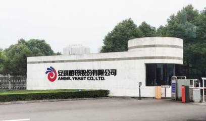 安琪酵母 以生物技術創新引領健康生活新時代
