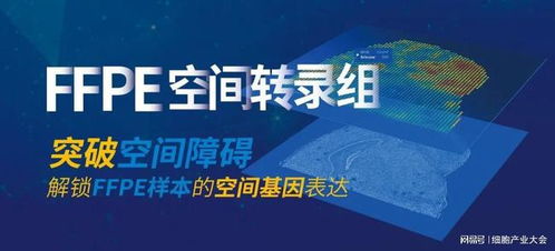 精準(zhǔn)解鎖空間生物學(xué) 伯豪生物FFPE空間轉(zhuǎn)錄組解決方案亮相細(xì)胞產(chǎn)業(yè)大會(huì)